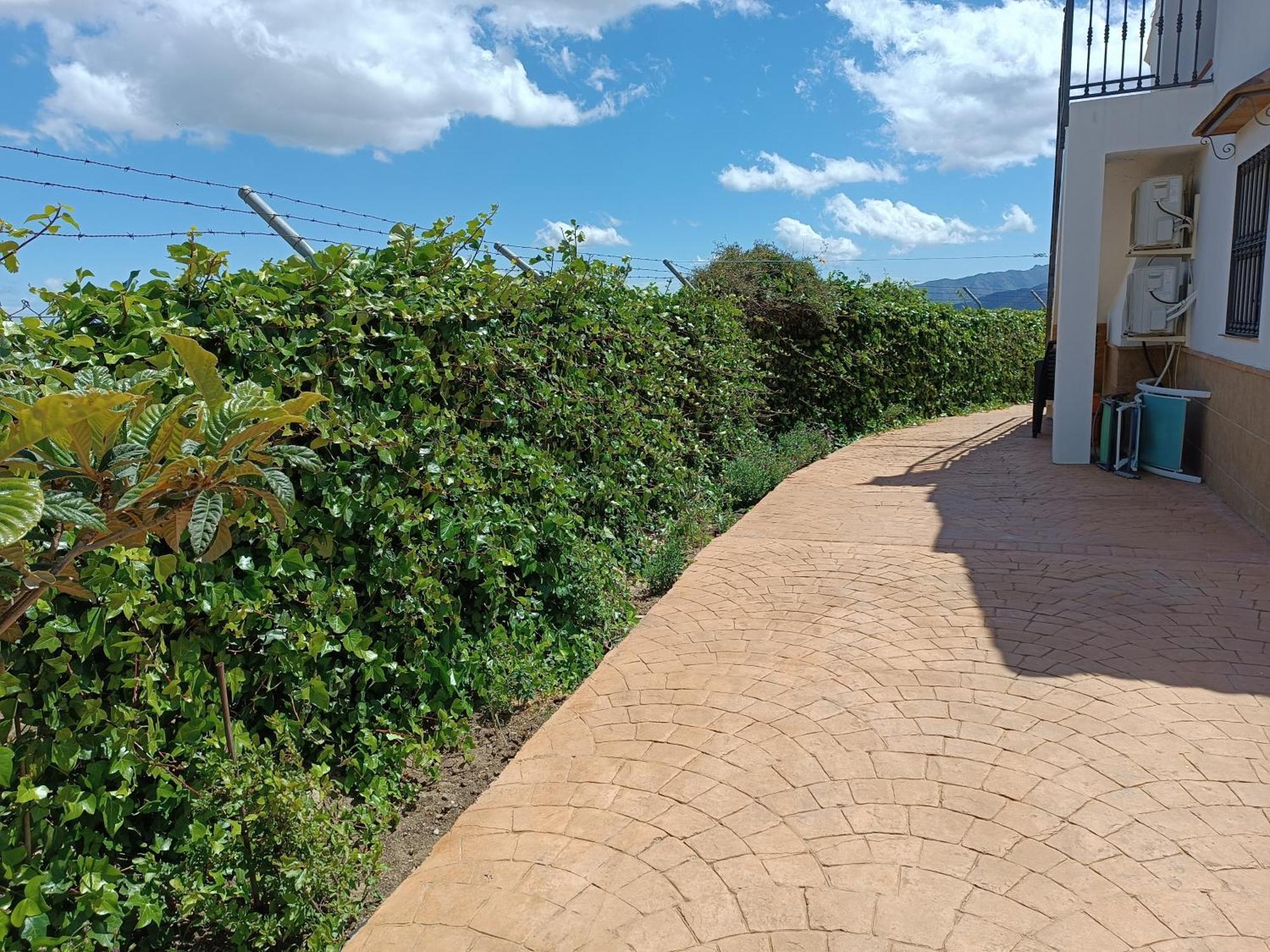 Casa Rural La Revuelta Con Las Mejores Vistas A La Naturaleza Yunquera Luaran gambar